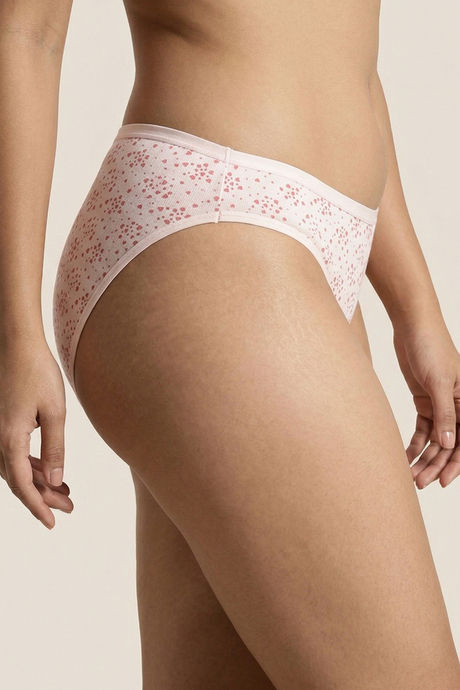 Zivame Low Rise Full Coverage Bikini Panty (Pack of 3) - Multicolor — image 4